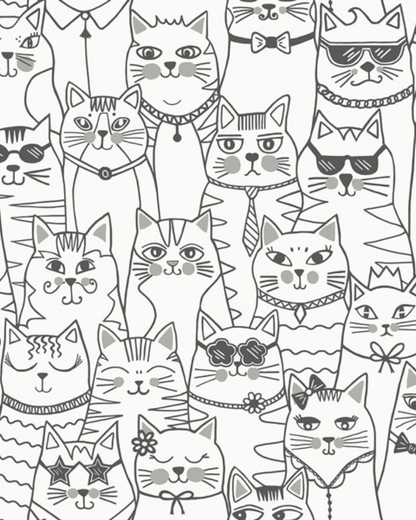 ADVENTURE AWAITS 14070