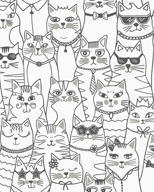 ADVENTURE AWAITS 14070