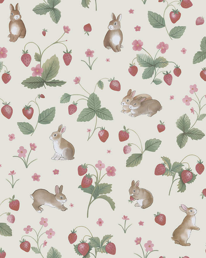 ADVENTURE AWAITS 14140