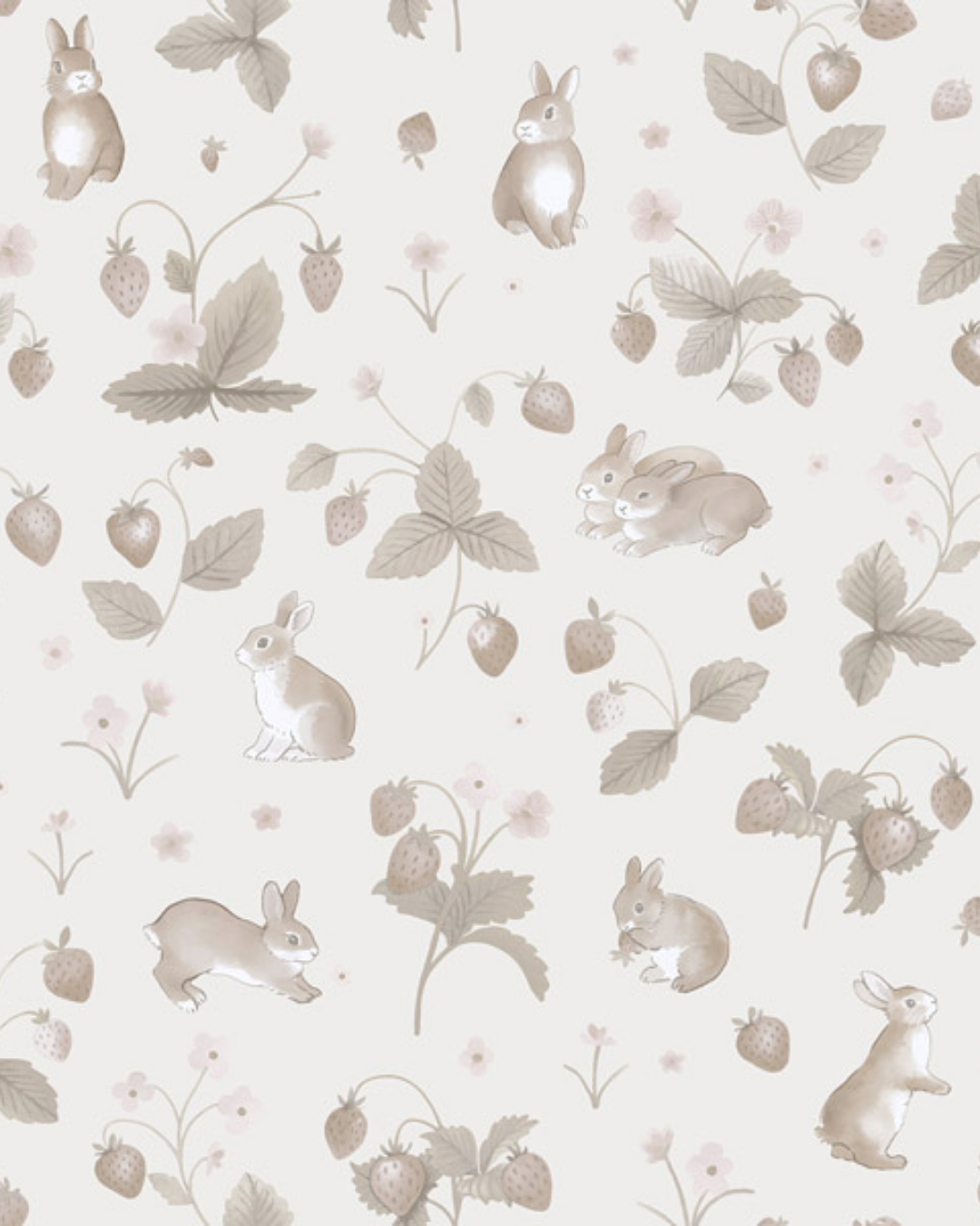 ADVENTURE AWAITS 14143