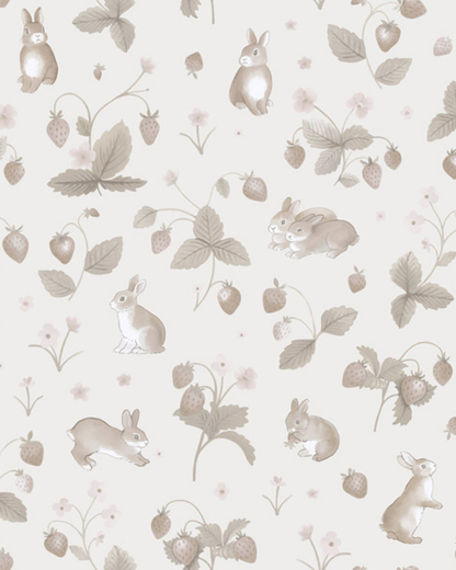 ADVENTURE AWAITS 14143