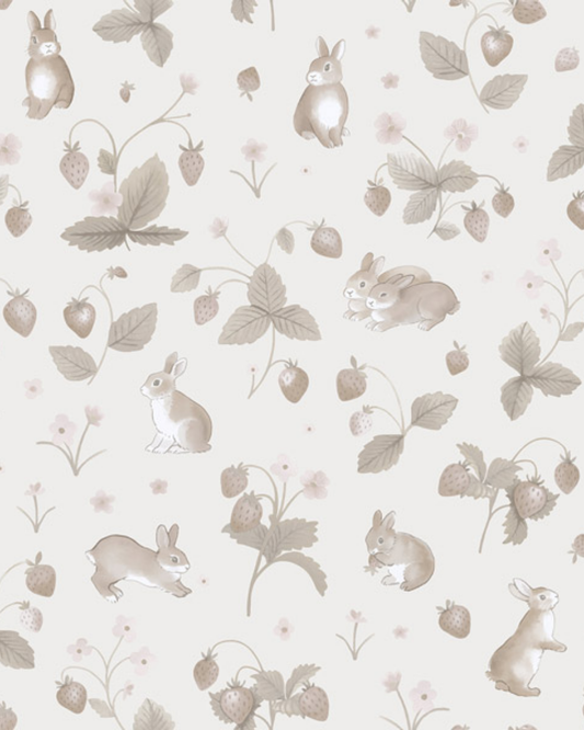 ADVENTURE AWAITS 14143