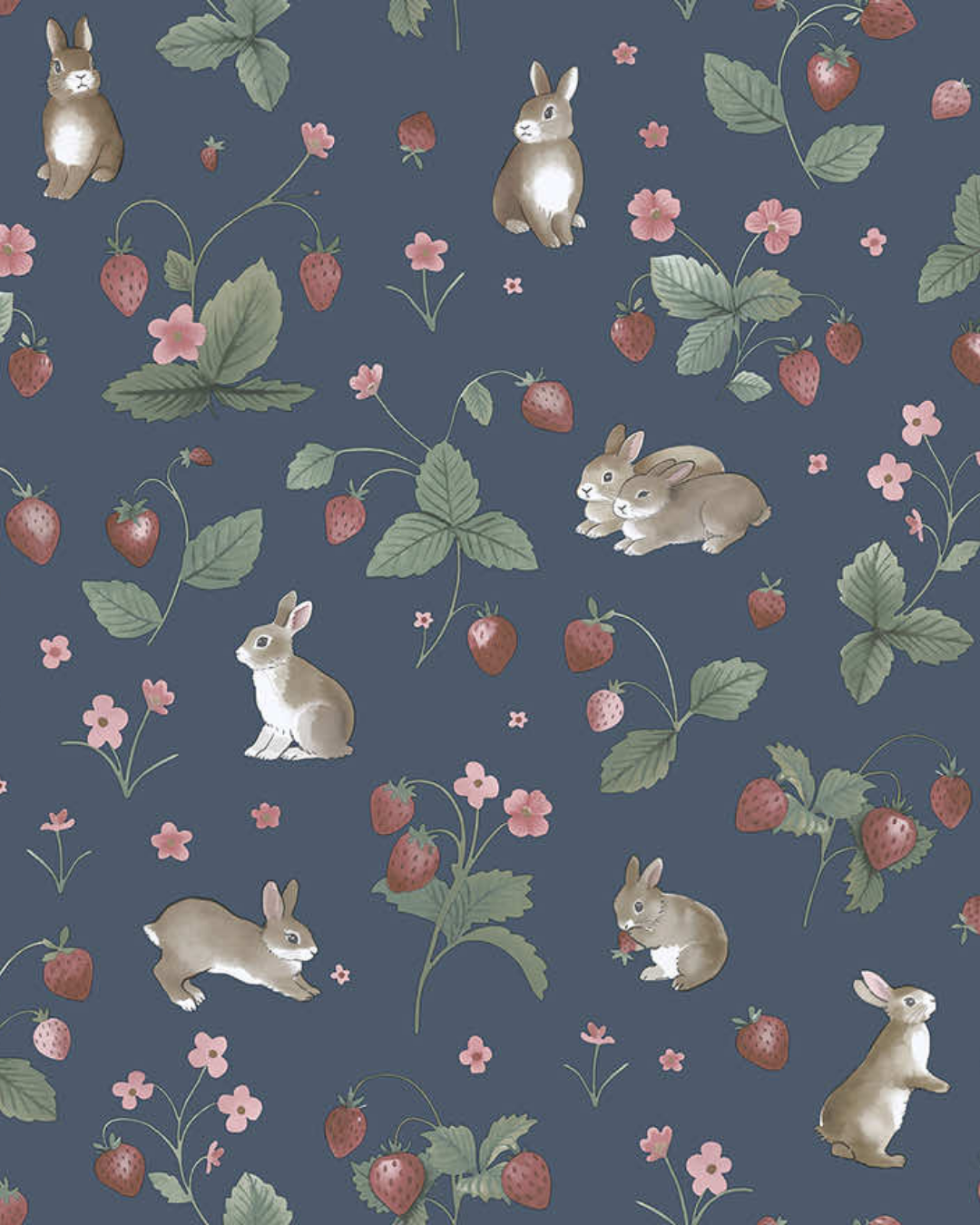 ADVENTURE AWAITS 14142