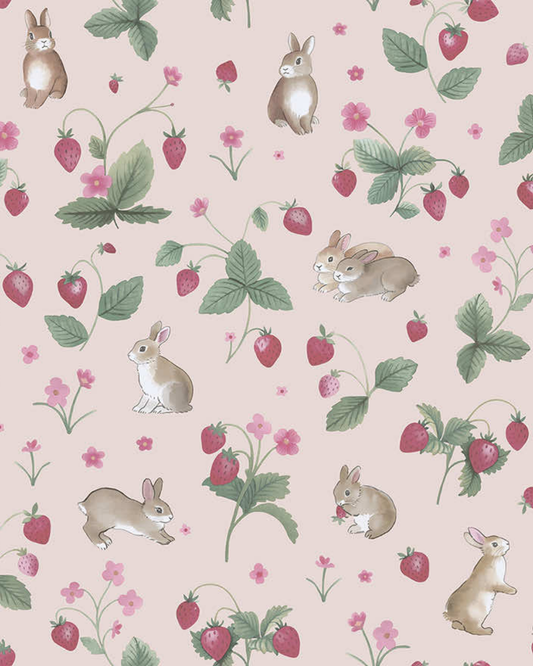 ADVENTURE AWAITS 14141