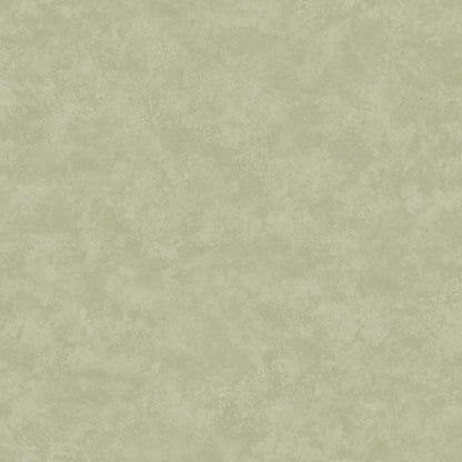 ARBORETUM 91733